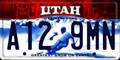 UT license plate A129MN