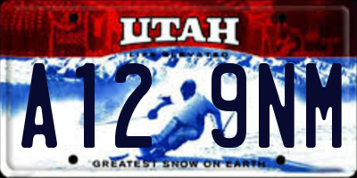 UT license plate A129NM