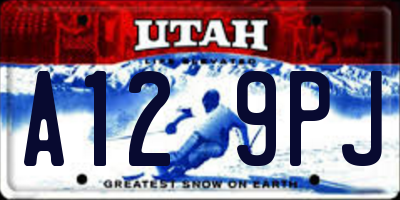 UT license plate A129PJ