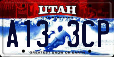 UT license plate A133CP