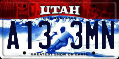 UT license plate A133MN