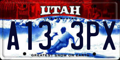UT license plate A133PX