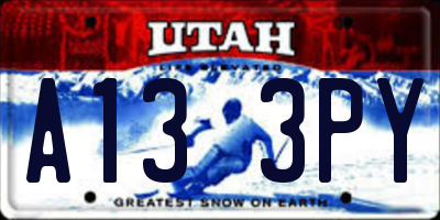 UT license plate A133PY