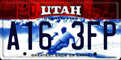 UT license plate A163FP