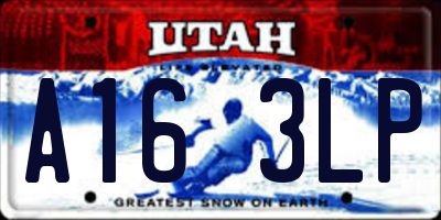 UT license plate A163LP