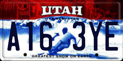 UT license plate A163YE
