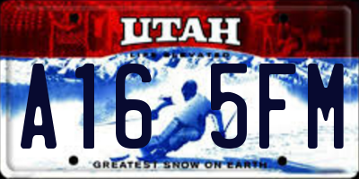 UT license plate A165FM