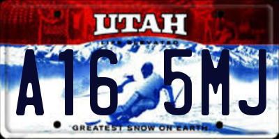 UT license plate A165MJ