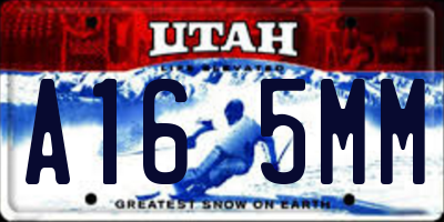 UT license plate A165MM