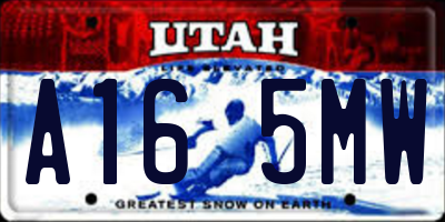 UT license plate A165MW