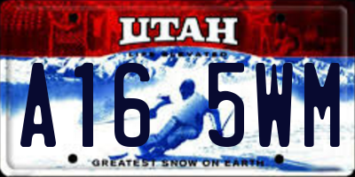 UT license plate A165WM