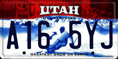 UT license plate A165YJ