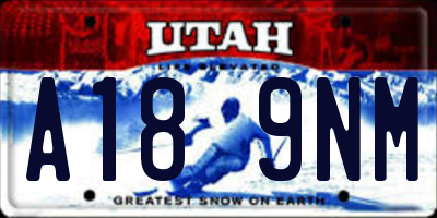 UT license plate A189NM
