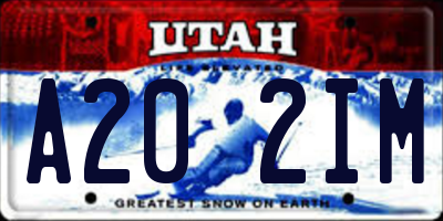 UT license plate A202IM