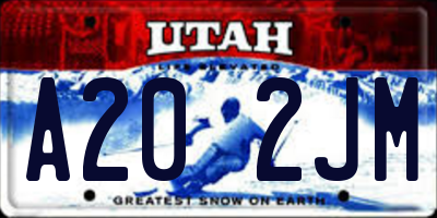 UT license plate A202JM