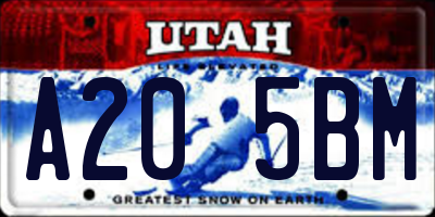 UT license plate A205BM
