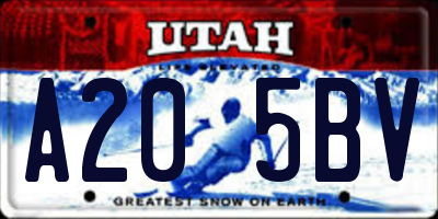 UT license plate A205BV