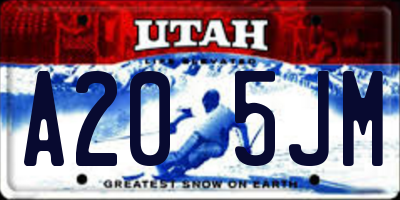 UT license plate A205JM