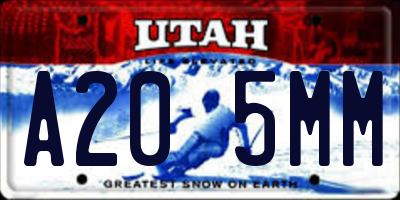 UT license plate A205MM