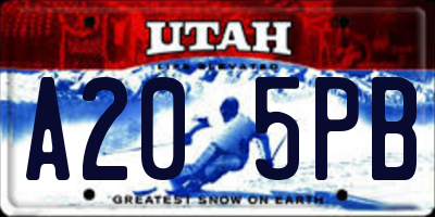 UT license plate A205PB