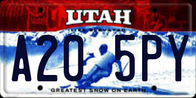 UT license plate A205PY