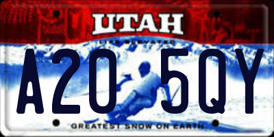 UT license plate A205QY