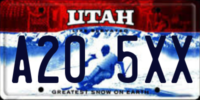UT license plate A205XX