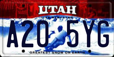 UT license plate A205YG
