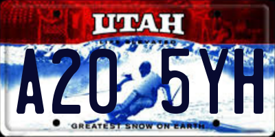 UT license plate A205YH