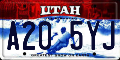 UT license plate A205YJ