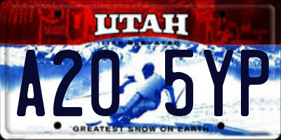 UT license plate A205YP