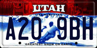 UT license plate A209BH
