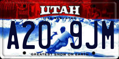 UT license plate A209JM