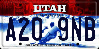 UT license plate A209NB