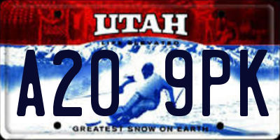 UT license plate A209PK