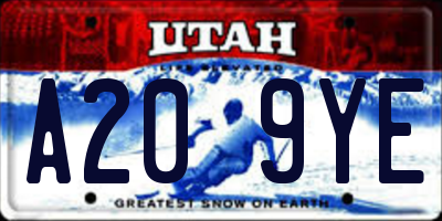 UT license plate A209YE