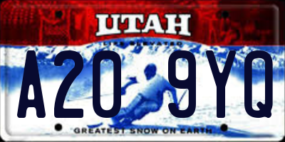 UT license plate A209YQ