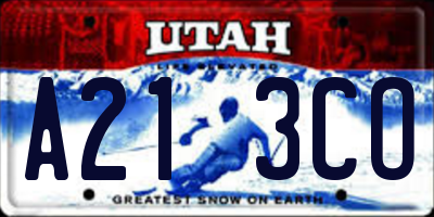 UT license plate A213CO