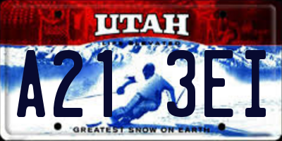 UT license plate A213EI