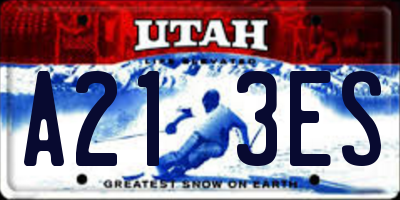UT license plate A213ES