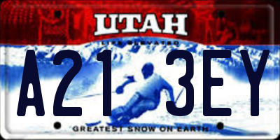 UT license plate A213EY