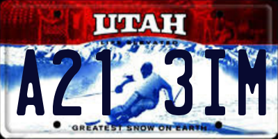 UT license plate A213IM