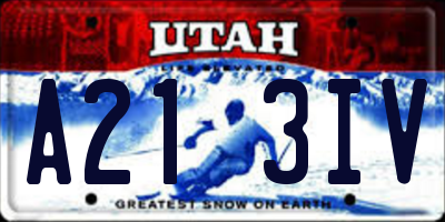 UT license plate A213IV