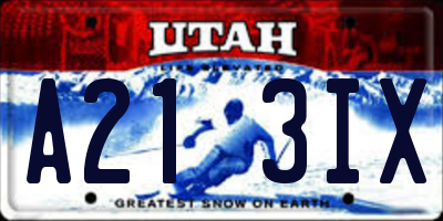 UT license plate A213IX