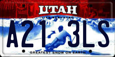 UT license plate A213LS