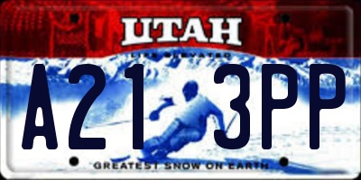UT license plate A213PP