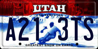 UT license plate A213TS