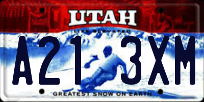UT license plate A213XM