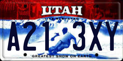 UT license plate A213XY