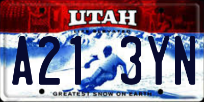 UT license plate A213YN